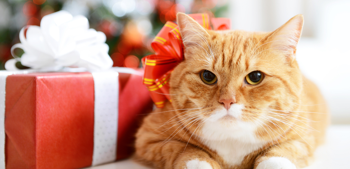 regalos clientes navidades clínica veterinaria